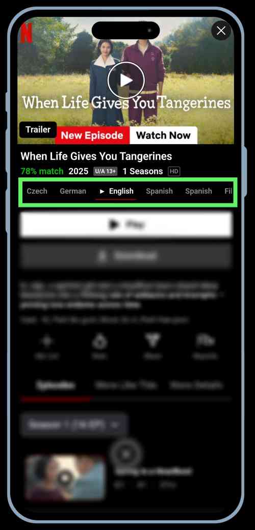 Multilingual Subtitle and Audio NetMirror Multilingual Subtitle and Audio NetMirror