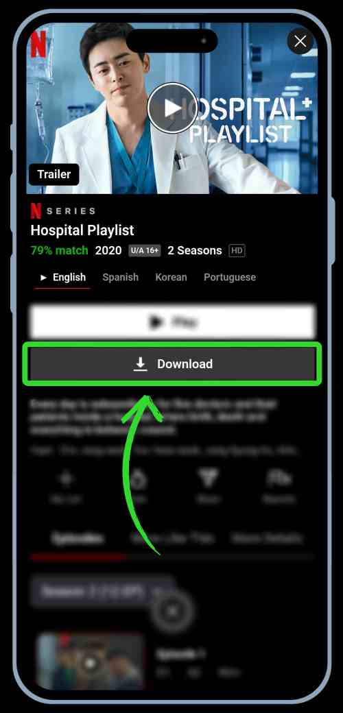 Offline Playback NetMirror Offline Playback NetMirror