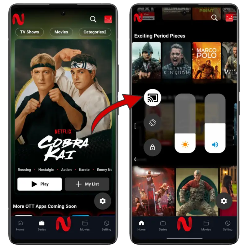 Cast NetMirror to TV Cast NetMirror to TV